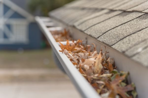 Leaf Barrier Installation in Wilkes Barre